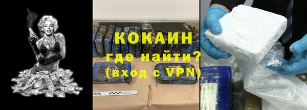дживик Козельск