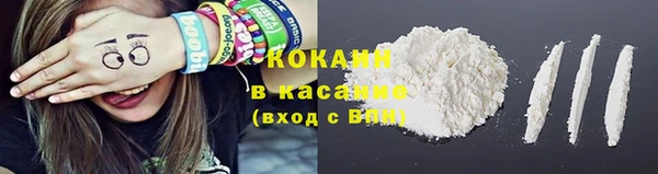 прущие грибы Белокуриха