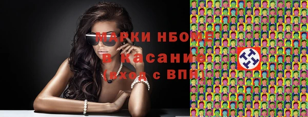 прущие грибы Белокуриха