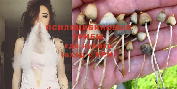 бошки Алексеевка